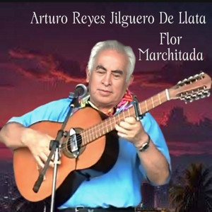 Jilguero de Llata - Por Aquella Falda