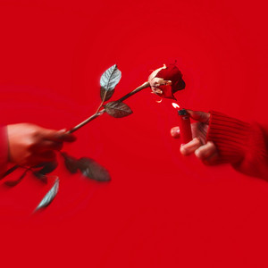高嶺の花 by ¥oung Flag, Lil Yeek
