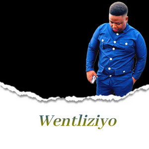 Mkhululi Joyisi - Wentliziyo