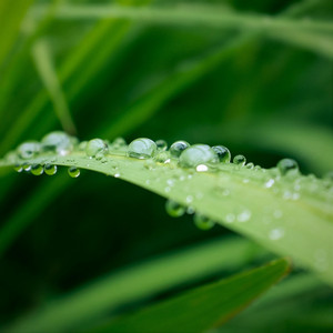 神崎広斗 - 言の葉