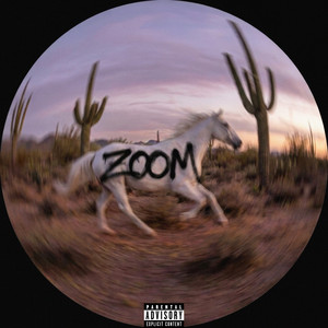 ZOOM by Pink Jagg