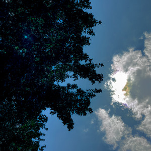 Samuel Ifeanyi - S31