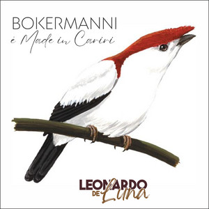 Bokermanni É Made In Cariri