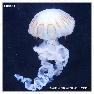 Swimming With Jellyfish
