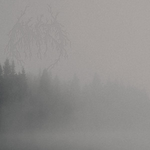 Let's Call It a Life by ANTI