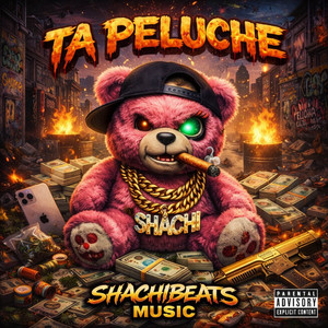 TA PELUCHE by Shachibeats music