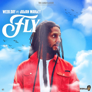 Fly