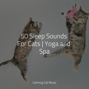 50 Sleep Sounds For Cats | Yoga and Spa album