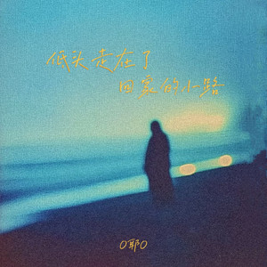 低着头走在了回家的小路 by O耶O