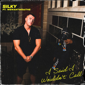 I said I wouldn’t call (feat. wewantwraiths) by Silky, wewantwraiths