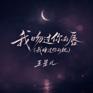 我吻过你的唇 (我睡过你的枕) by 王星儿