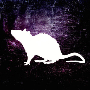 Aura Dub cover
