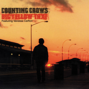 Big Yellow Taxi
