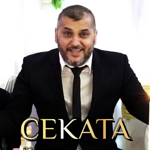 Cekata - Splet 2020