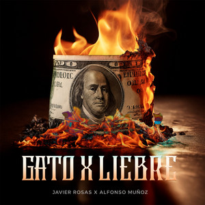 Gato x Liebre (En Vivo)