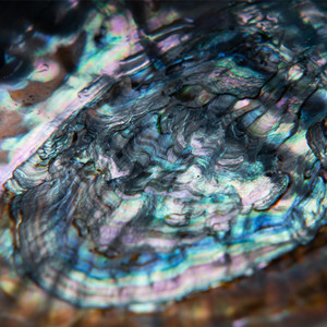 Supernova by Future Palace