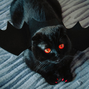 Viscous Lofi - How Not To Train Your Son