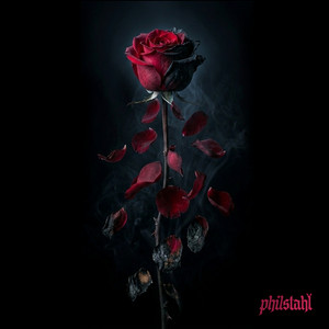 Dying Rose by Phil Stahl