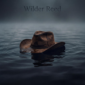 Wicked Game (Dark Country) by Wilder Reed