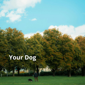 Your Dog by Yazilome