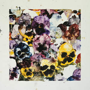 Capa do álbum de Estagnação