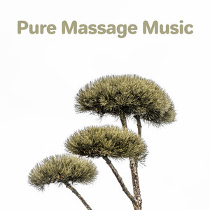 Pure Massage Music album
