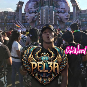 PEL3A by eduweed