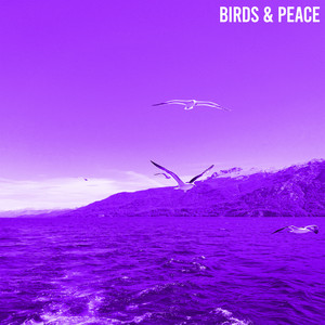 Peaceful Days by Audio Ears