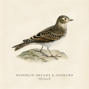 Skylark by Pangolin Dreams, Odokuro
