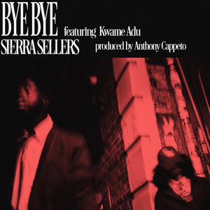 Bye Bye by Sierra Sellers, Kwame Adu
