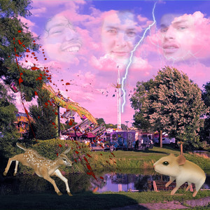 De Kermis Van Almere