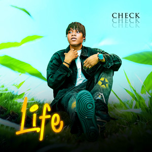 Check - Life