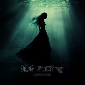 孤鸣 Guming by 拼音师, DJ刚仔