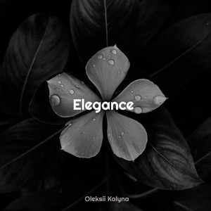 Elegance