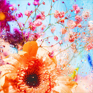 Adagio Jones - Flowers