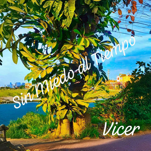 Sin Miedo al Tiempo by Vicer