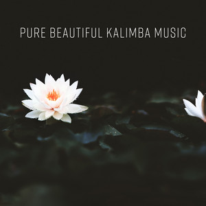Pure Beautiful Kalimba Music album