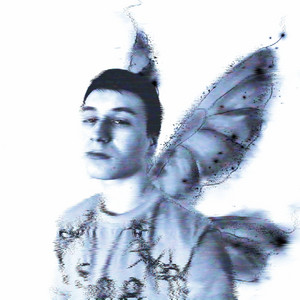 Digital Butterfly (Deluxe Edition)