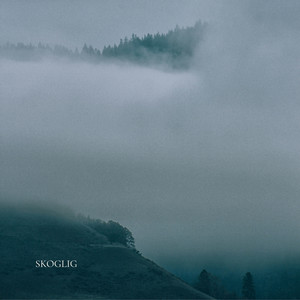 Skoglig by Jon Laer