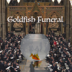 Goldfish Funeral - Goldfish Funeral