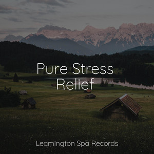 Pure Stress Relief album