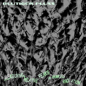 Blutiger Fluss artist photo