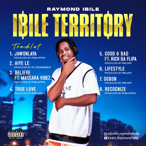 RECOGNIZE by RAYMOND IBILE