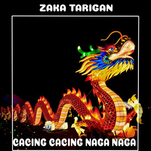 Zaka Tarigan - DJ Boxing Medan Velocity