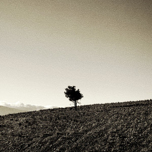 I'll Be Home — cover art by Makram Aboul Hosn