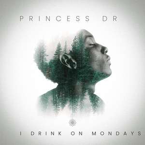 i drink on mondays by princess dr