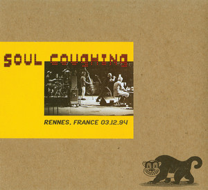 The Woolly Imbibe - song and lyrics by Soul Coughing | Spotify