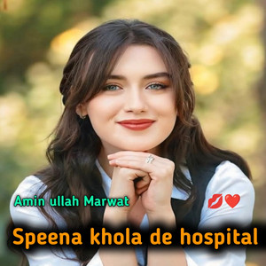 Amin Ullah Marwat - Speena khola de hospital