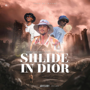 SHLIDE IN DIOR