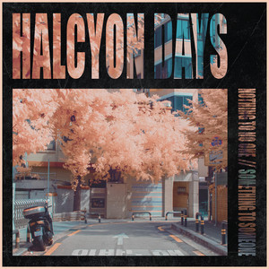 My Heart Is My Compass by Halcyon Days